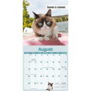 Grumpy Cat 2027 Mini Wall Calendar, (Paperback)