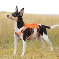 thumbnail image 3 of Beirui Strong No Pull Nylon Dog Harness Soft Padded Pet Training Vest Reflective Adjustable Waterproof with Handle, 3 of 11