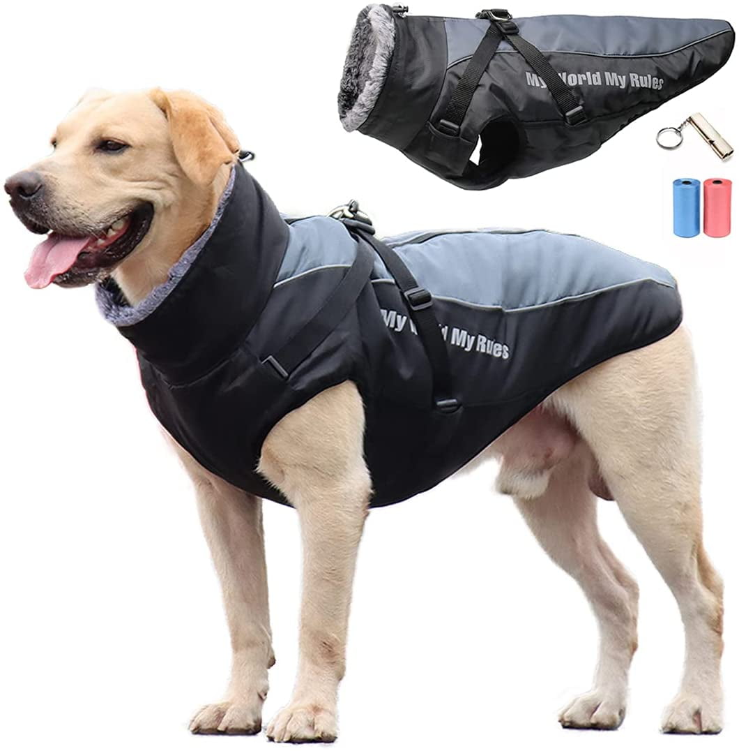 cold collar for dogs