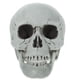 thumbnail image 1 of FELTECHELECTR Adorno de calavera artificial de Halloween, calavera asustadiza, accesorios para casa fantasma, suministros para fiestas (2), 1 of 6