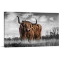 thumbnail image 1 of ARTCANVAS Highland Calf Bull In The Mountain Canvas Art Print - Size: 26" x 18" (0.75" Deep), 1 of 9