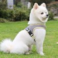 thumbnail image 6 of Adjustable Dog Safety Vest and Harness - Break-Away Leather Traction Chest Strap for Outdoors, 6 of 8