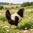 thumbnail image 5 of Chicken Saddle for Hens, Chicken Apron Back Protector for Hens, Waterproof Hen Saddle Chicken Vest With Adjustable Straps for Poultry Back Feather Protection, Easy to Wear, 5 of 6