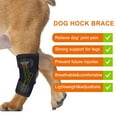 DGYAO Small Dog Leg & Knee Brace for ACL & CCL Injury Recovery, Hock ...