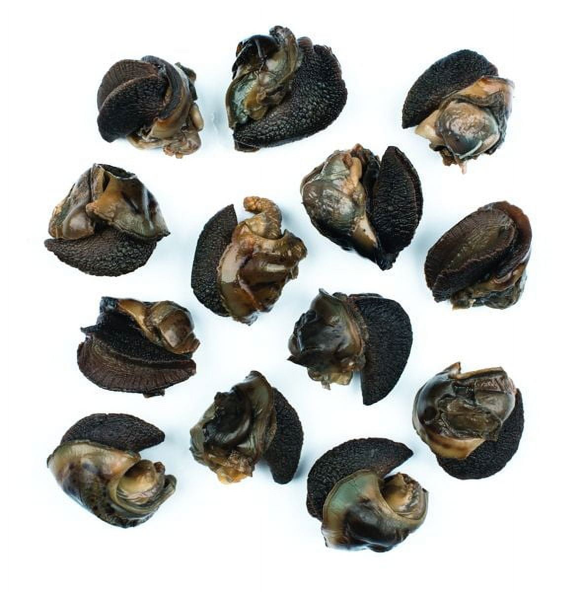 (6 pack) Roland Canned Escargot Snails, Allergens Not Contained, 7.75 oz