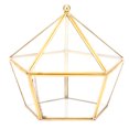 thumbnail image 3 of YLSHRF Geometric Plant Terrarium, Unique Geometric Succulent Plant Planter Artificial Flower Container Holder Dust Cover Decor, Home Tabletop Decor Gift, 3 of 8