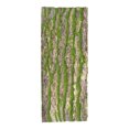 thumbnail image 2 of Taosunzt Artificial Tree Bark Realistic Looking Eye-catching Nap Simulation Tree Bark Wall Artificial Plants Decor for Home Style 3, 2 of 13