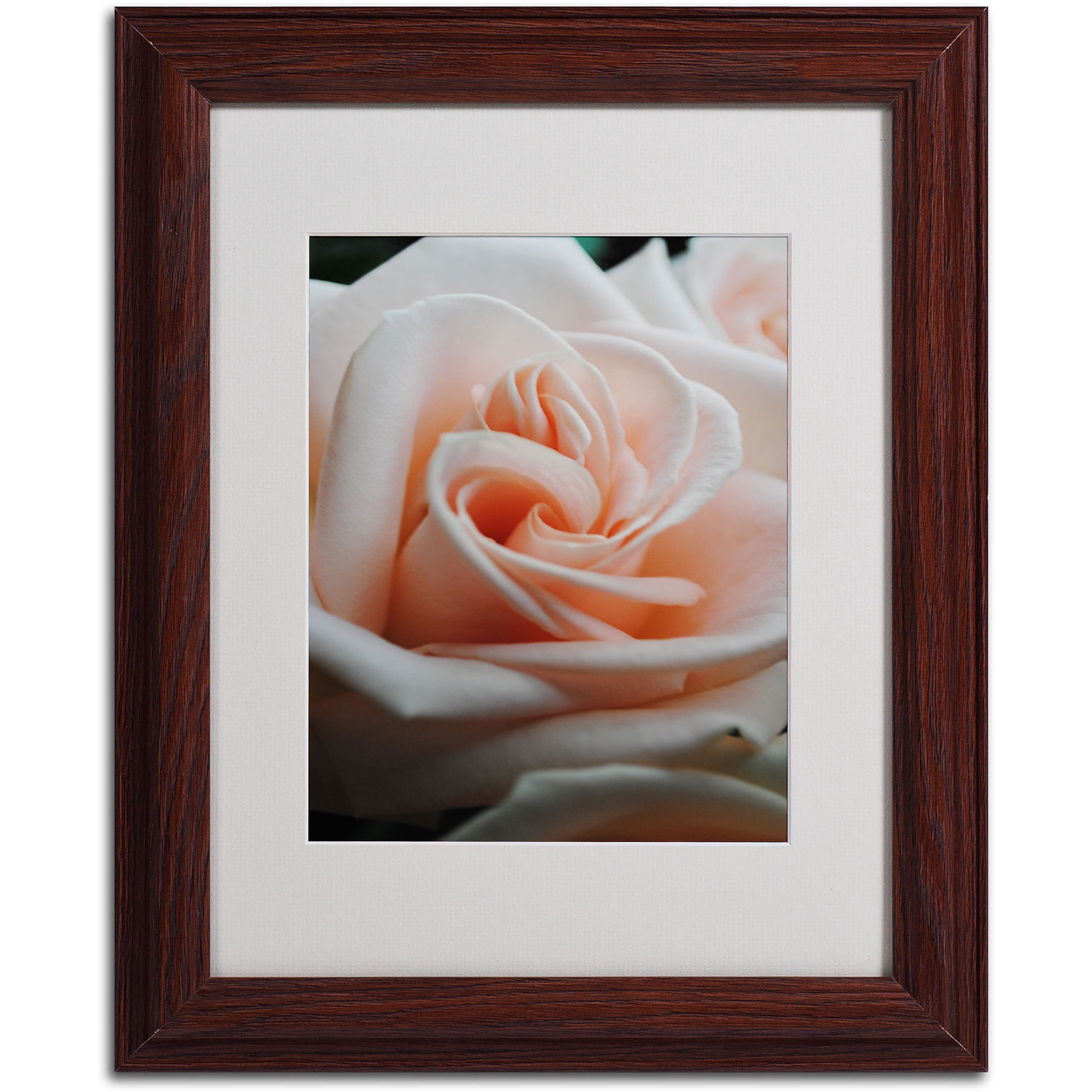 Trademark Fine Art "Leilani" by Monica Fleet, Wood Frame