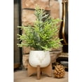 thumbnail image 4 of Flora Bunda CH1920E-WH 15.75'H Frosted Xmas Tree in 5' Staghead Ceramic on Wood Stand, 4 of 5