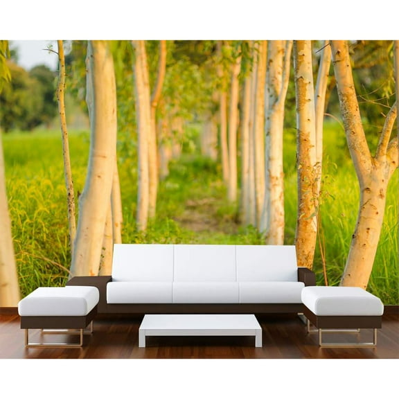 Startonight Mural Wall Art Green Alley from Bedroom Illuminated Nature Landscapes Wallpaper Photo 5 Stars Gift Large 10 x 28,82 ‘’ x 50,4 ‘’ Total 8’4”x 12'