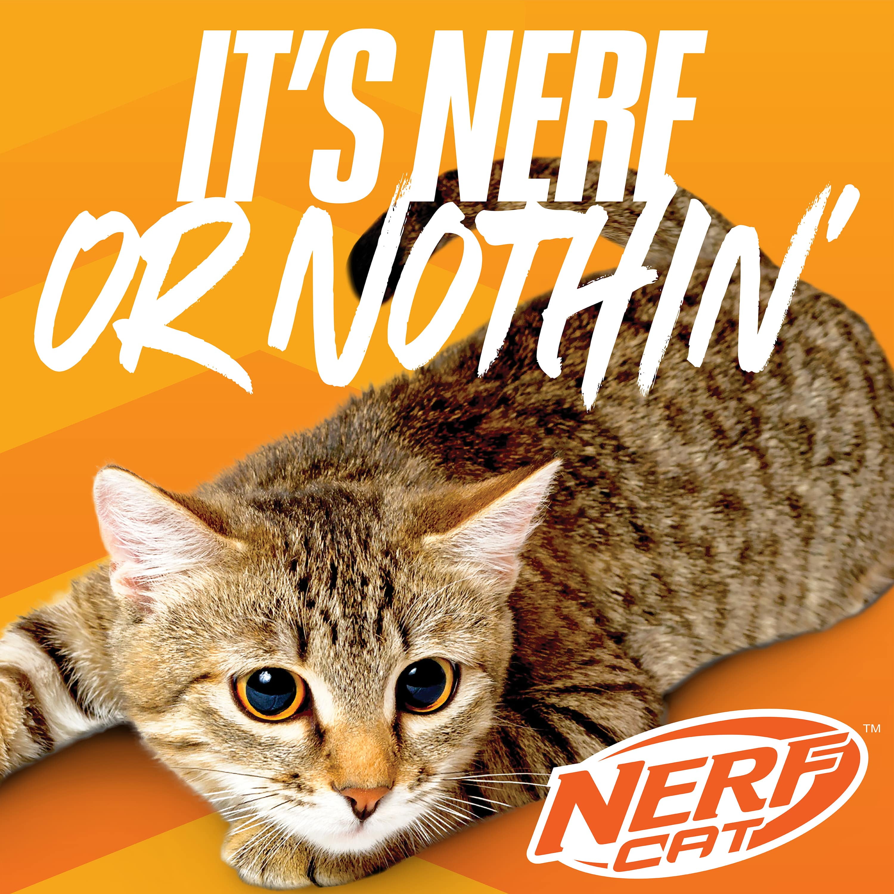 Nerf Cat LED Light Up Rattle Spinner with Bell Cat Toy