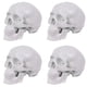 thumbnail image 1 of 4X Mini Modelo de Cráneo Humano, Modelo de Cráneo Anatómico de 3 Partes con Tapa de Cráneo Extraíble y Mandíbula Articulada, 1 of 5