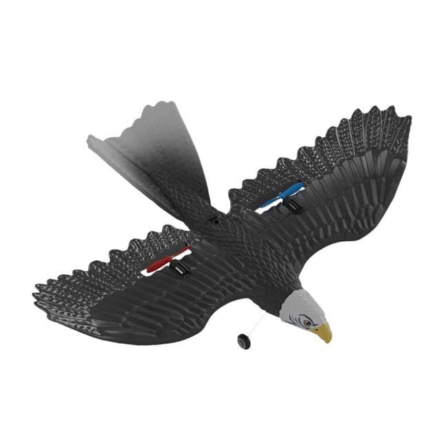 Avión de juguete RC con Control remoto, avión águila, anticaída, despegue en tierra, caza electrónico de aves voladoras para principiantes y adultos