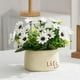 thumbnail image 1 of Plantas de flores artificiales en macetas, vegetación en macetas, pequeñas plantas falsas, flores de imitación de plástico con jarrón de cerámica para Margarita blanca Soledad Bonsái en maceta, 1 of 7