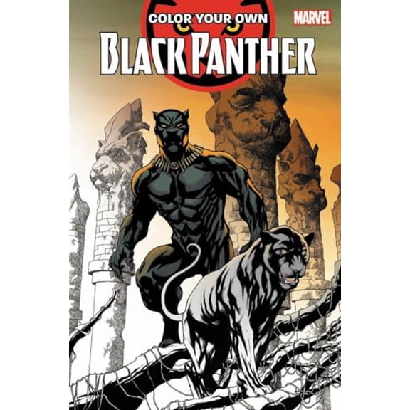 Pre-Owned Color Your Own Black Panther, 9781302908997, 1302908995, Paperback, Clr edition