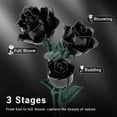 thumbnail image 4 of Remocguys Gothic Black Roses Flower Bouquet Building Set Compatible with Lego Flowers Gift Home Decor for Adults Halloween 585 Pcs, 4 of 9
