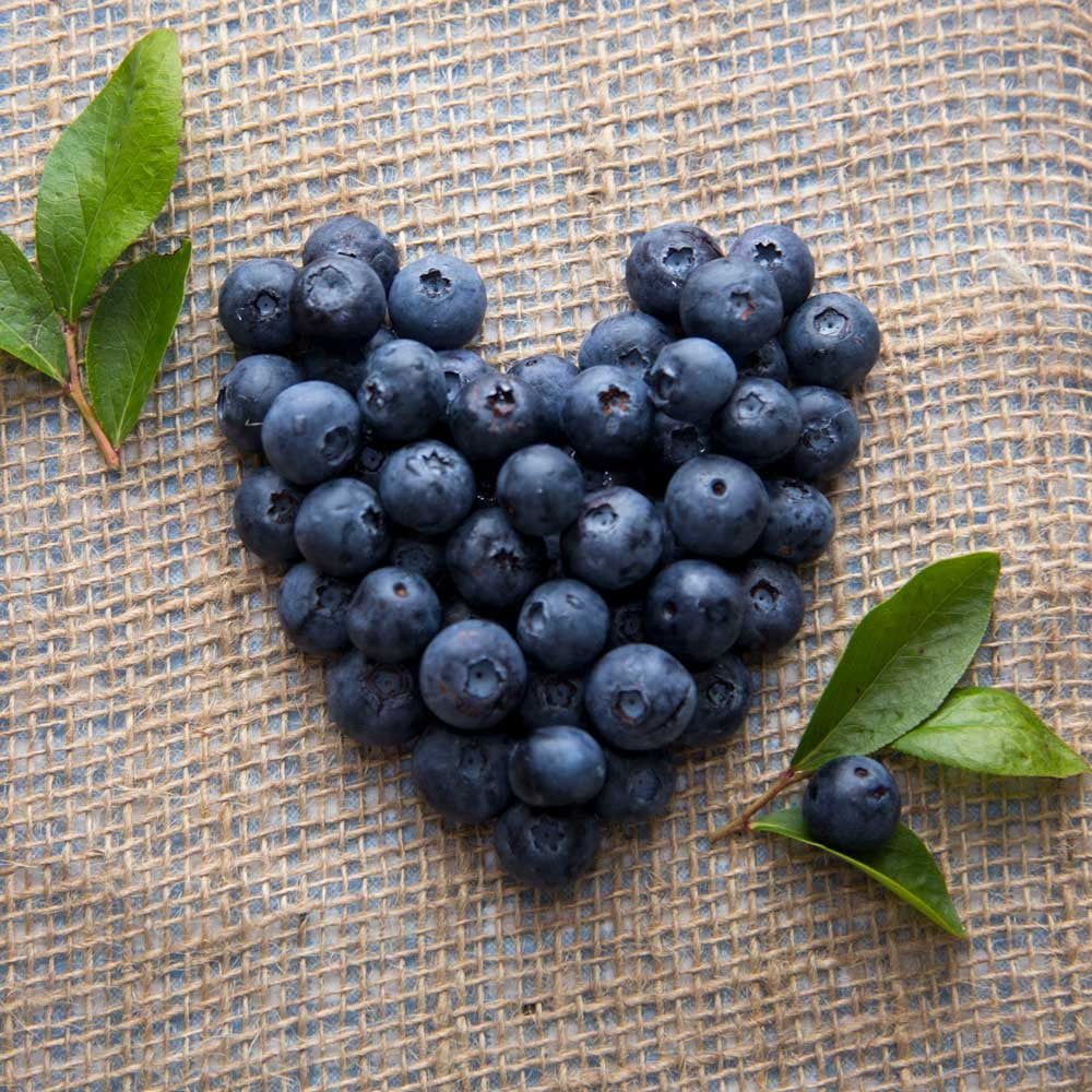 Southern Living Bless Your Heart Blueberry Bush Live Shrub in 2.5-Quart Grower Pot