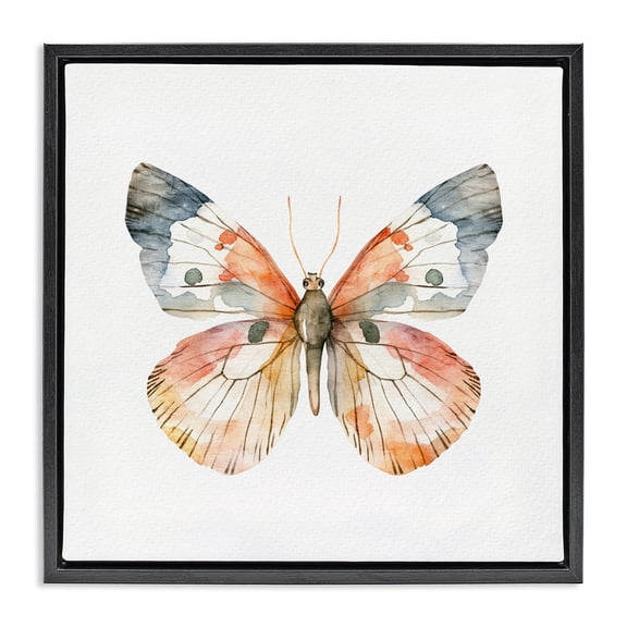 Stupell Industries Transitional Warm Watercolor Butterfly Black Floating Frame Canvas Art, 18 x 18, by Kim Allen