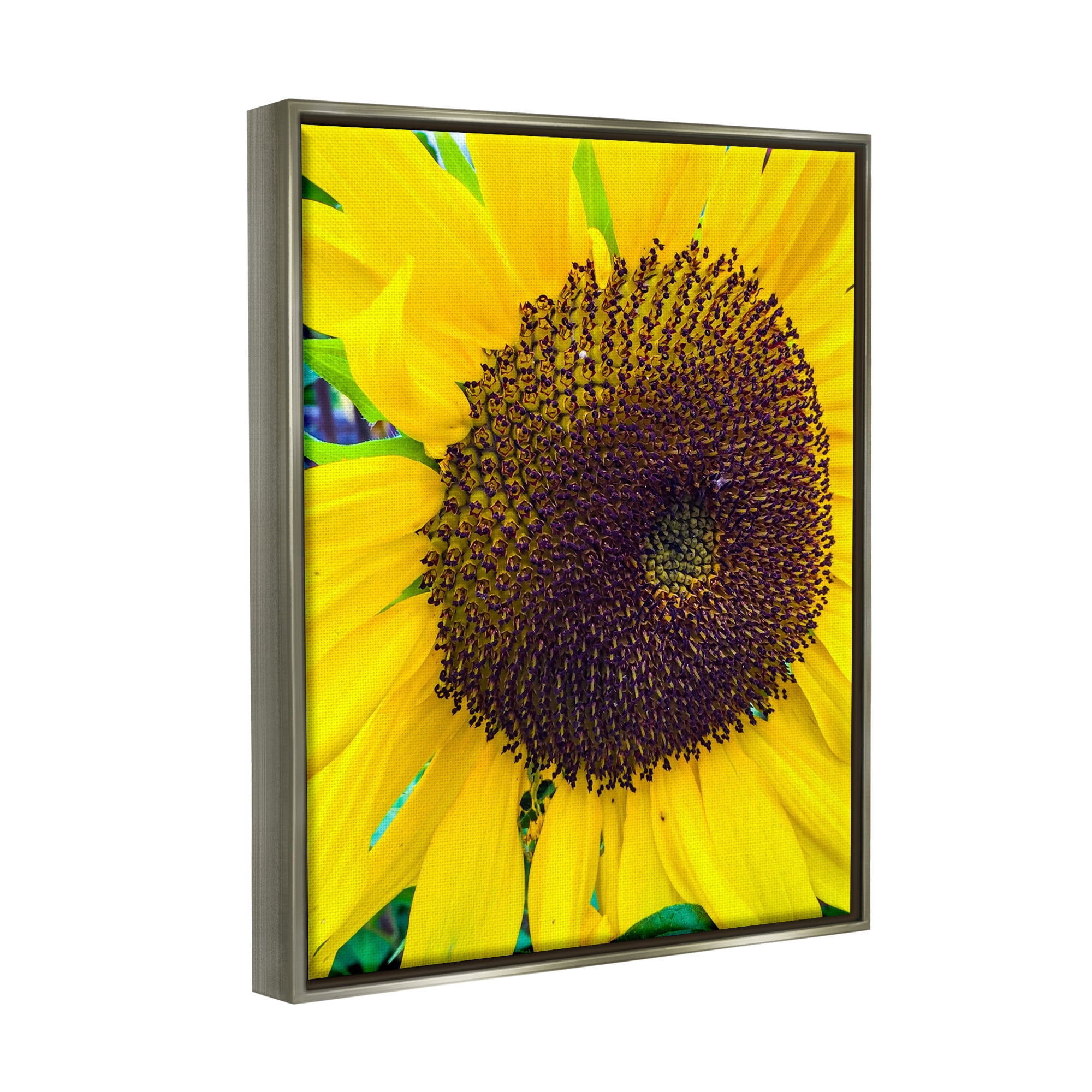 Stupell Industries Close Up Yellow Sunflower Florets Botanical Nature Photograph Luster Gray Floating Framed Canvas Print Wall Art, Design by Heidi Bannon