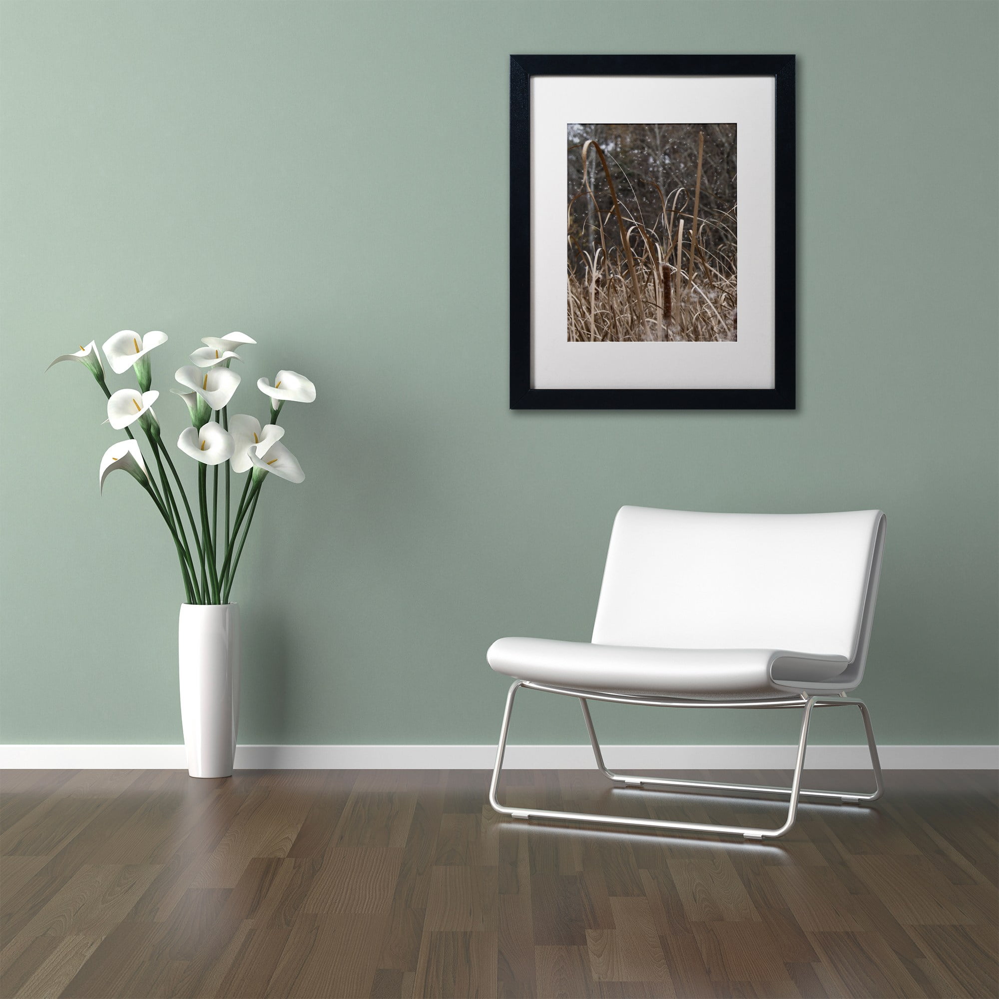 Trademark Fine Art "Cattail Seeds in Flight" Canvas Art by Kurt Shaffer, White Matte, Black Frame