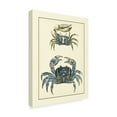 thumbnail image 2 of Trademark Fine Art 'Antique Blue Crabs II' Canvas Art by Vision Studio, 2 of 4