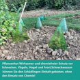 thumbnail image 4 of KAIYANG Campanas de jardín, paquete de 20 cubiertas reutilizables para campanas de plantas, campanas de vidrio para protección contra (verde), 4 of 5