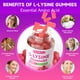 thumbnail image 3 of Suplemento de L-lisina MEENCCD en gomitas de 1000 mg para adultos y niños, 3 of 7