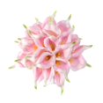thumbnail image 1 of Crafjie 22 flores de lirio de cala artificiales de tacto real de Lataex rosa de 13,4 pulgadas para decoración del hogar, flores de primavera, decoración del hogar, cocina, bodas y centros de mesa., 1 of 1