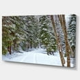 thumbnail image 3 of Designart Snowy Road in the Forest Canvas Wall Art, 3 of 4