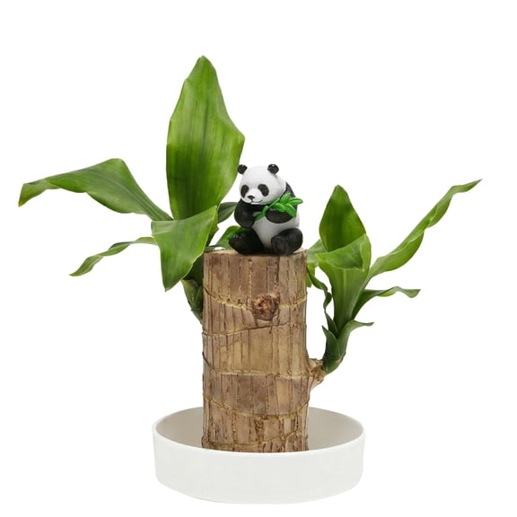 Brazilian Lucky Wood Ornament with Base and Mystery Doll ，& Home Office Decoration, Unique Gift for Good Luck”