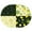 Lemon Fruits-1, variant on Oval Table Cloth Thanksgiving Pumpkin Fall,Wrinkle Resistant Table Cover with Polyester,Waterproof Reusable Tablecloths for Home Decor Summer Spring Picnic Dining Holiday (Oval,54x72inch)
