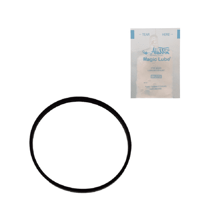 - Puri Tech O-RING - Hayward Spx125T & Others w/ Single Use Lubricant