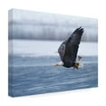 thumbnail image 4 of Shlomo Waldmann 'Bald Eagle' Canvas Art, 4 of 4