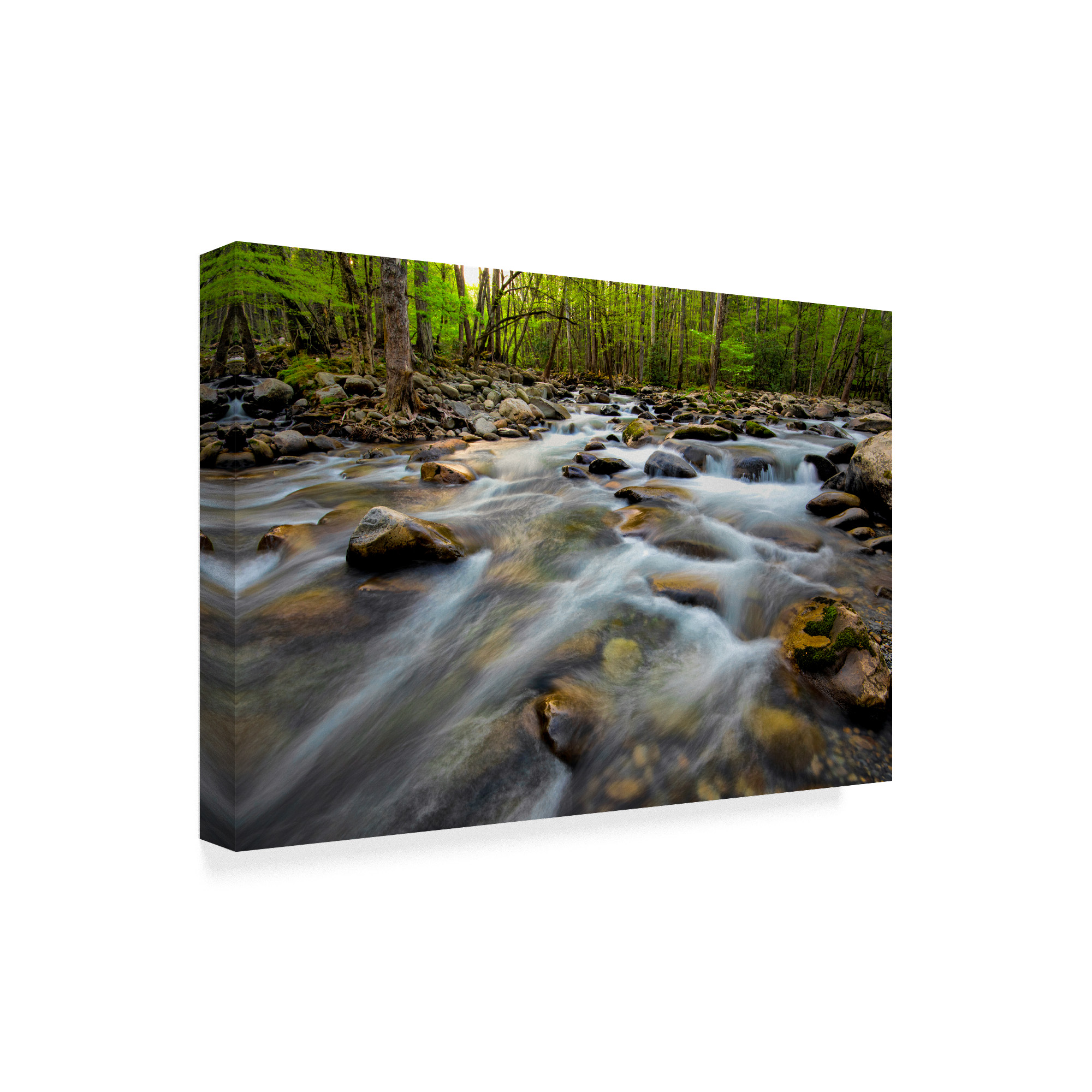 Trademark Fine Art 'Golden Flow' Canvas Art by Danny Head