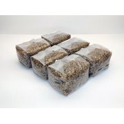 6 x 1lb Sterilized Rye Berry Grain Substrate Bags for Mushroom Cultivation and Making Grain Spawn