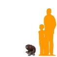 thumbnail image 2 of Beaver Life Size Statue, 2 of 7