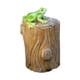 thumbnail image 1 of Figura de animal, llavero de repuesto, accesorios, resina versátil resistente a la intemperie Rana, 1 of 9