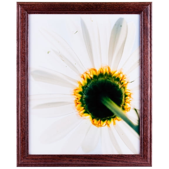 Craig Frames Wiltshire 236, 4x10 inch Picture Frame, Simple Red Hardwood