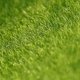 thumbnail image 4 of Simulación de musgo artificial, plantas verdes falsas, césped para fiestas, patios, micropaisajes, decoración, flores, césped, manualidades de bricolaje, 4 of 4