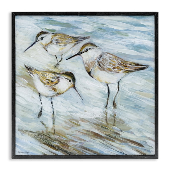 Stupell Industries Traditional Wetlands Sandpiper Trio Black Framed Giclee Art, 12 x 12, by Susan Winget