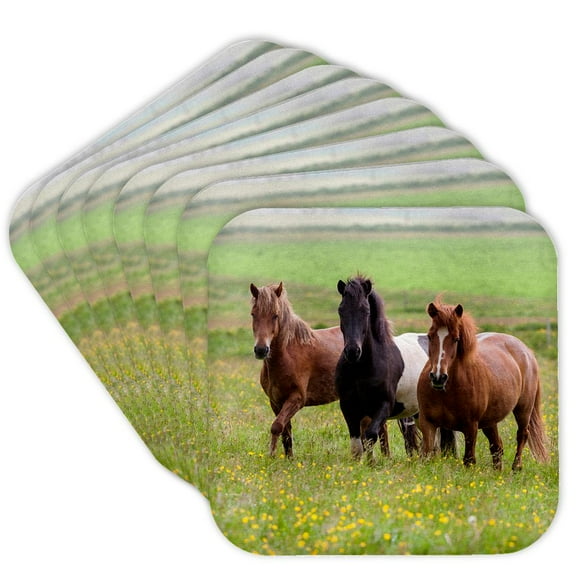 3drose, Europe, Iceland, Icelandic Horses Enjoy a Wildflower Strewn Field., Set of 8 Coasters - Soft
