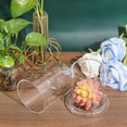thumbnail image 5 of Arch Shape Bird Pattern Glass Cloche Dome Cover Terrarium for Eternal Flower Plant Kits Display 4x6.5inch, 5 of 9