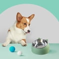 thumbnail image 5 of Cuenco de acero inoxidable para gatos y perros, con protección para las vértebras cervicales y boca oblicua, cuenco para comida para mascotas., 5 of 5