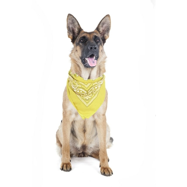 5 Pack Bandana Triangle en Polyester Paisley pour Animaux de Compagnie Chiens - Surdimensionné (Jaune)