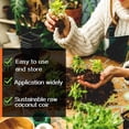 thumbnail image 3 of 30pcs 40mm Expanding Coir Fiber Potting Soil- Nursery Compressed Organic Plant Soil Easy-to-Store Coco Coir Pellet Fiber Soil Indoor Seed Starter Kit for Window Plant Herb Flower Microgreens Succulent, 3 of 6