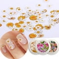 thumbnail image 3 of 50 Pcs/Box Nail Art Charms Flower Rose Ultra Thin Wood Pulp Patch DIY Nail Art, 3 of 8
