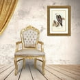 thumbnail image 3 of Gould, John 13x18 Gold Ornate Wood Framed with Double Matting Museum Art Print Titled - White-bellied Sea Eagle-Ichthyiaetus leucosternus, 3 of 4