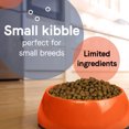 thumbnail image 4 of Canidae Pure Petite Raw Coated Salmon Dog Food 10Lb, 4 of 5