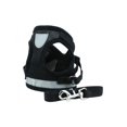 thumbnail image 1 of Dragonus Puppy Small Dog Cat Harness and Walking Leads Set Pet Breathable Reflective Vest, 1 of 4