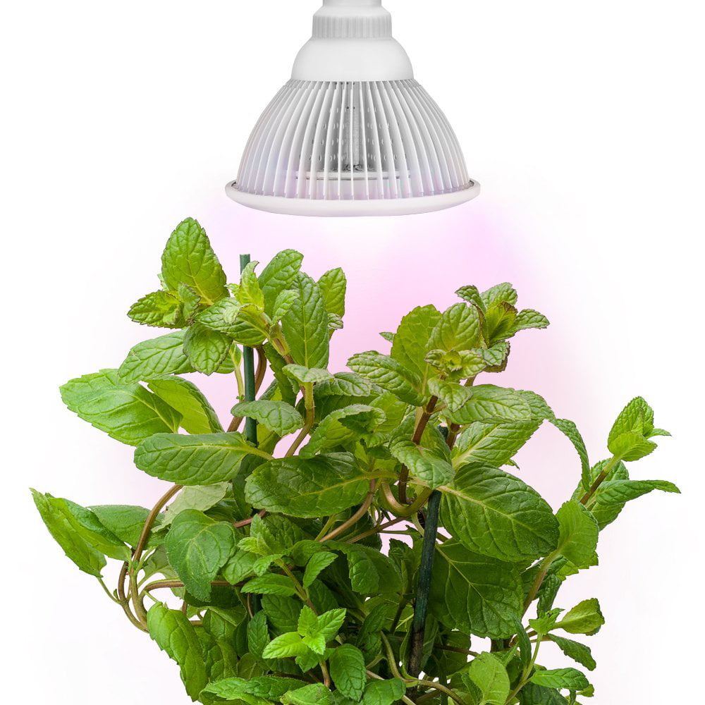 Sandalwood Hydroponic LED 12W Plant Grow Light E27 Bulb  Garden Greenhouse 
